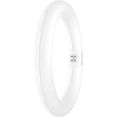 Eine elliptische LED-Leuchte in Weiß, mit einem einfachen, cleanen Design, die einen kleinen zentralen Anschluss mit einigen sichtbaren Komponenten zeigt.