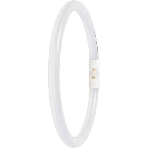 LEDVANCE LED-Röhre EEK: E (A - G) Röhrenform T5 11.6 W Warmweiß (Ø x L) 16.50 mm x 225.00 mm 1 St.