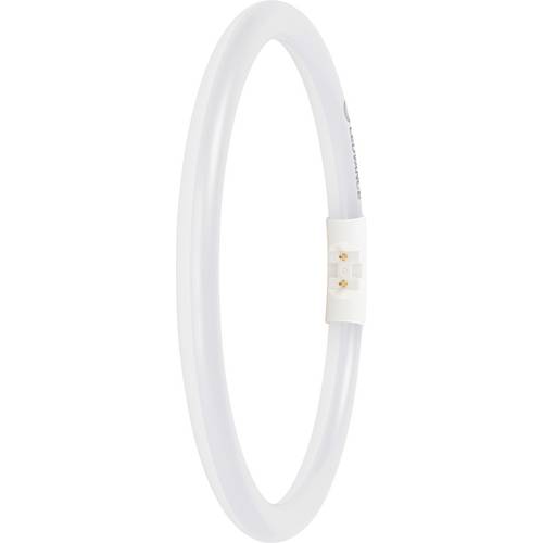 LEDVANCE LED-Röhre EEK: D (A - G) Röhrenform T5 11.6 W Tageslichtweiß (Ø x L) 16.50 mm x 225.00 mm 1 St.