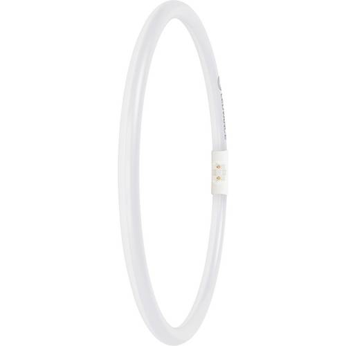 LEDVANCE LED-Röhre EEK: D (A - G) Röhrenform T5 21.5 W Neutralweiß (Ø x L) 16.50 mm x 300.00 mm 1 St.