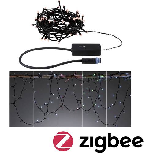 Paulmann 94642 Lichterkette