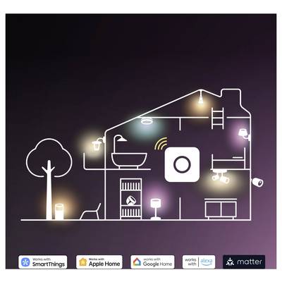 Eine stilisierte Linienzeichnung eines Hauses mit verschiedenen Smart-Geräten im Innenbereich, flankiert von Logos: SmartThings, Apple Home, Google Home, Alexa, Matter.