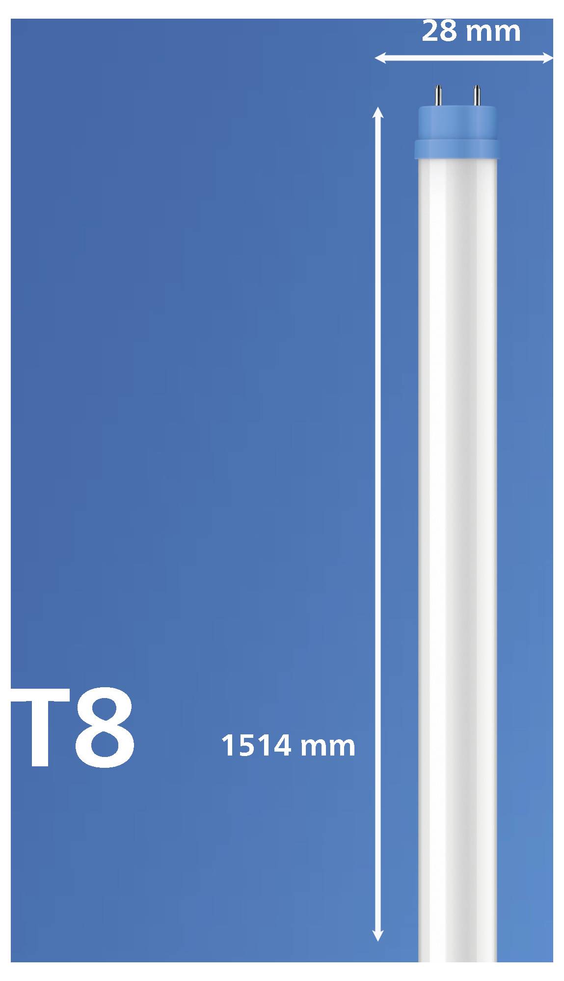 Leuchtstoffröhre mit Bezeichnung 'T8'; 1514 mm Länge, 28 mm Breite, dargestellt auf blauem Hintergrund.
