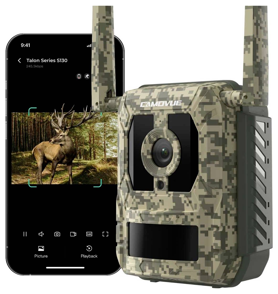 Eine getarnte Wildkamera neben einem Smartphone, das auf seinem Bildschirm ein Bild eines Hirsches im Wald zeigt.