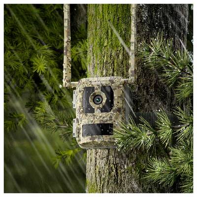 Eine Tarnkamera für Wildtiere ist an einem Baum im Wald befestigt und erfasst Bilder von Tieren in ihrer natürlichen Umgebung. Regen ist sichtbar.