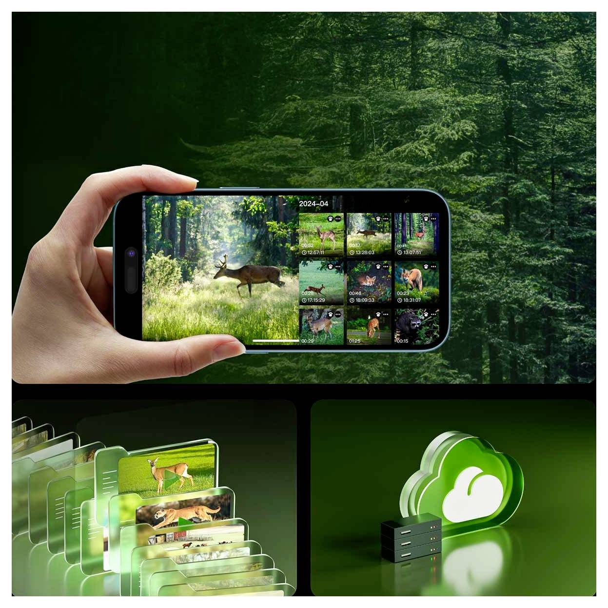 Eine Hand, die ein Smartphone hält und Bilder von Hirschen in einem Wald zeigt, was Speichermöglichkeiten für Wildtierfotografie veranschaulicht.