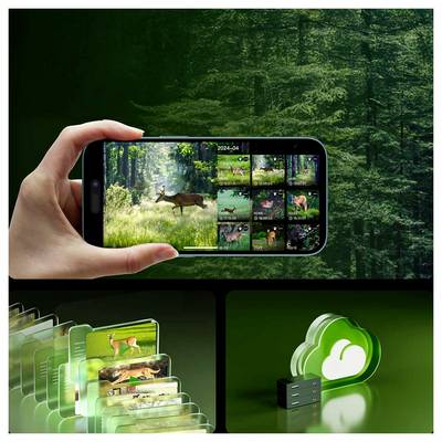 Eine Hand, die ein Smartphone hält und Bilder von Hirschen in einem Wald zeigt, was Speichermöglichkeiten für Wildtierfotografie veranschaulicht.