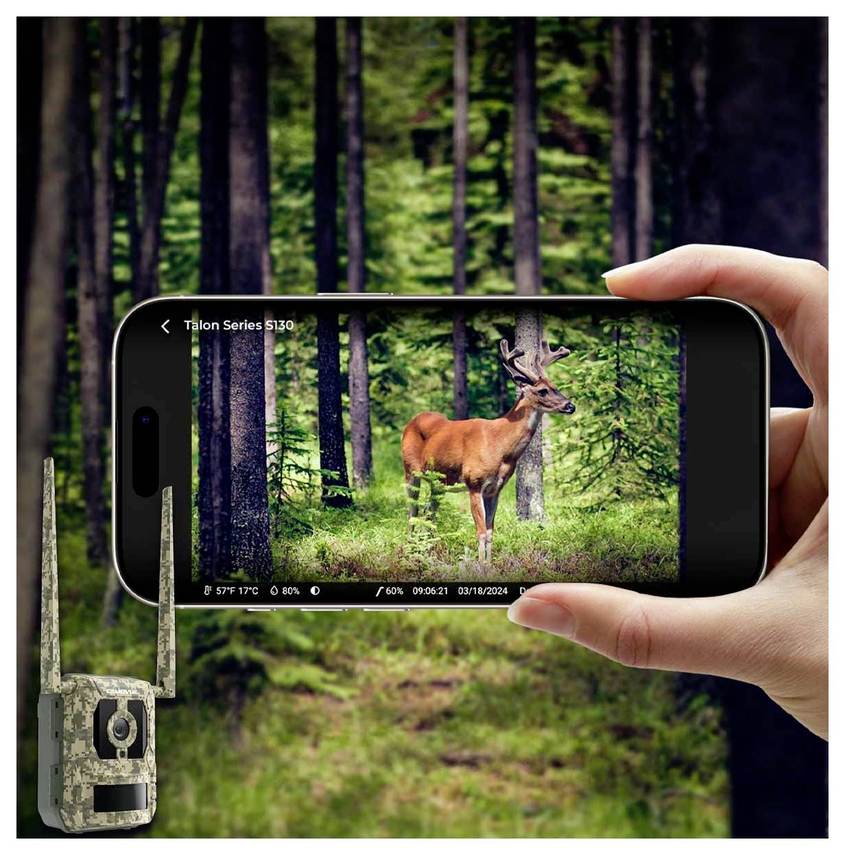Eine Person hält ein Smartphone und fotografiert einen Hirsch in einem Wald; eine Wildkamera befindet sich in der Nähe, was auf Wildtierbeobachtung oder -fotografie hinweist.