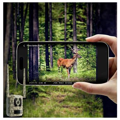 Eine Person hält ein Smartphone und fotografiert einen Hirsch in einem Wald; eine Wildkamera befindet sich in der Nähe, was auf Wildtierbeobachtung oder -fotografie hinweist.