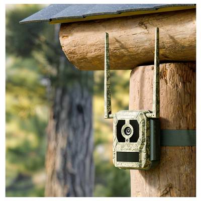Eine getarnte Wildkamera mit Antennen ist an einer Holzkonstruktion in einem bewaldeten Gebiet befestigt, wobei die Bäume im Hintergrund unscharf sind.
