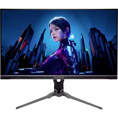Ein Monitor, der ein digitales Kunstbild einer futuristischen, gepanzerten Frau mit kurzen Haaren vor einer stilisierten Stadtlandschaft zeigt.