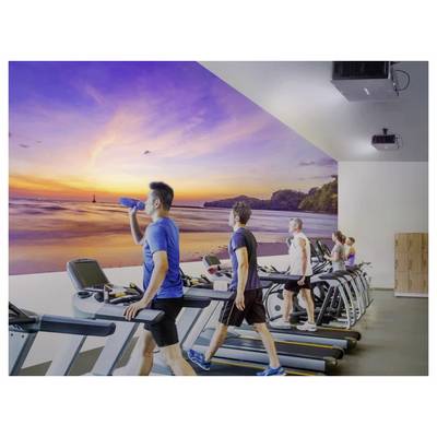 Menschen, die in einem Fitnessstudio auf Laufbändern trainieren und einer großen Wandmalerei mit einem friedvollen Strand-Sonnenuntergang gegenüberstehen.