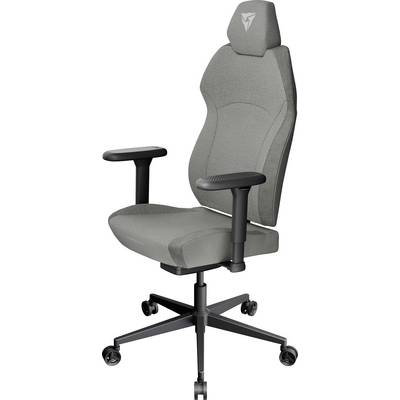Ein grauer ergonomischer Bürostuhl mit verstellbaren Armlehnen und Rollen, der entwickelt wurde, um Lendenwirbelstütze und Komfort für lange Arbeitsstunden zu bieten.