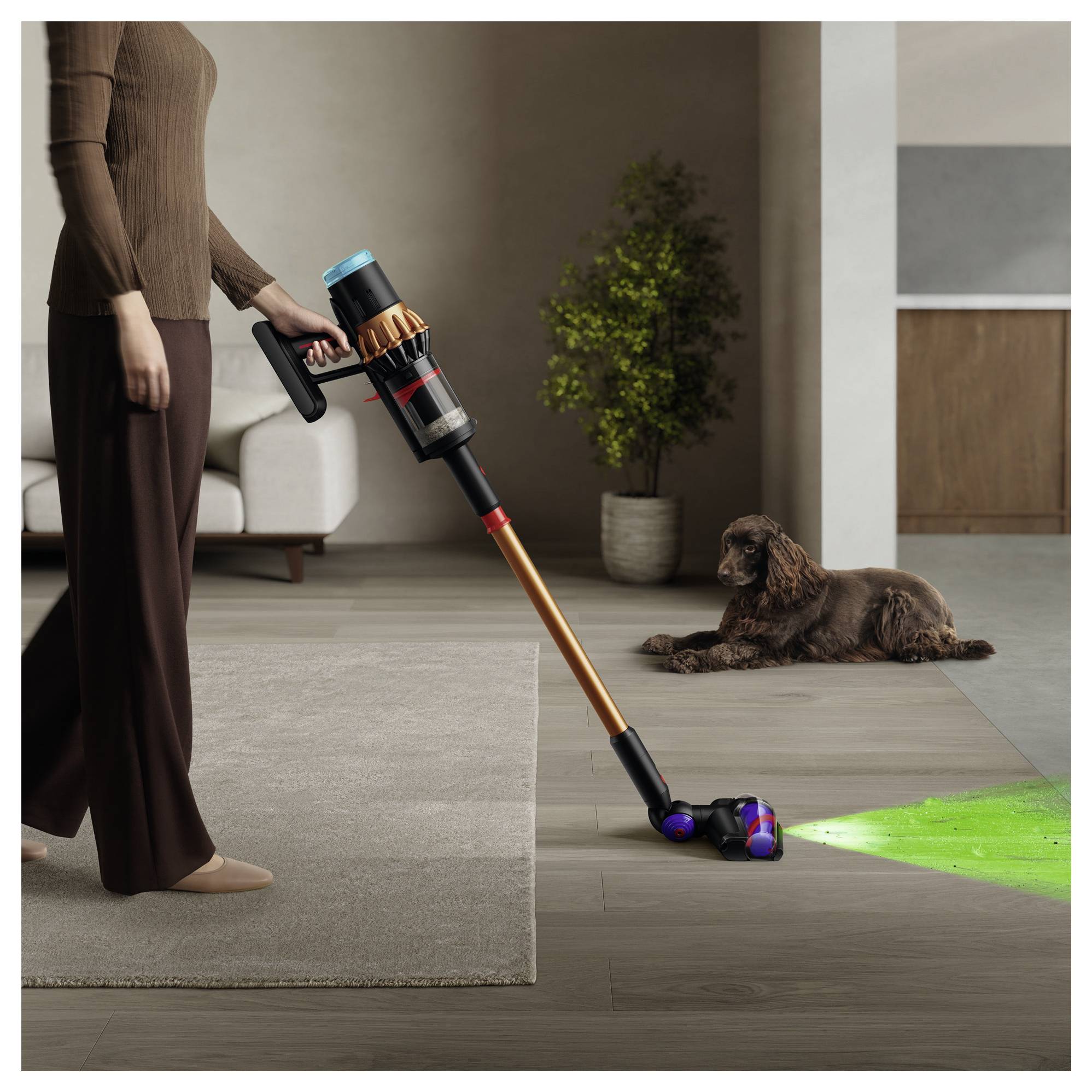 Eine Person saugt einen Holzfußboden mit einem kabellosen Staubsauger. Ein Hund liegt auf einem Teppich in der Nähe, und eine Pflanze ist im Hintergrund zu sehen.
