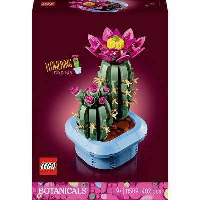 Eine LEGO-Set-Schachtel mit einem 'Blühender Kaktus' Modell aus der Botanicals-Serie, Setznummer 11509, mit 482 Teilen, empfohlen für Alter 9 und älter.