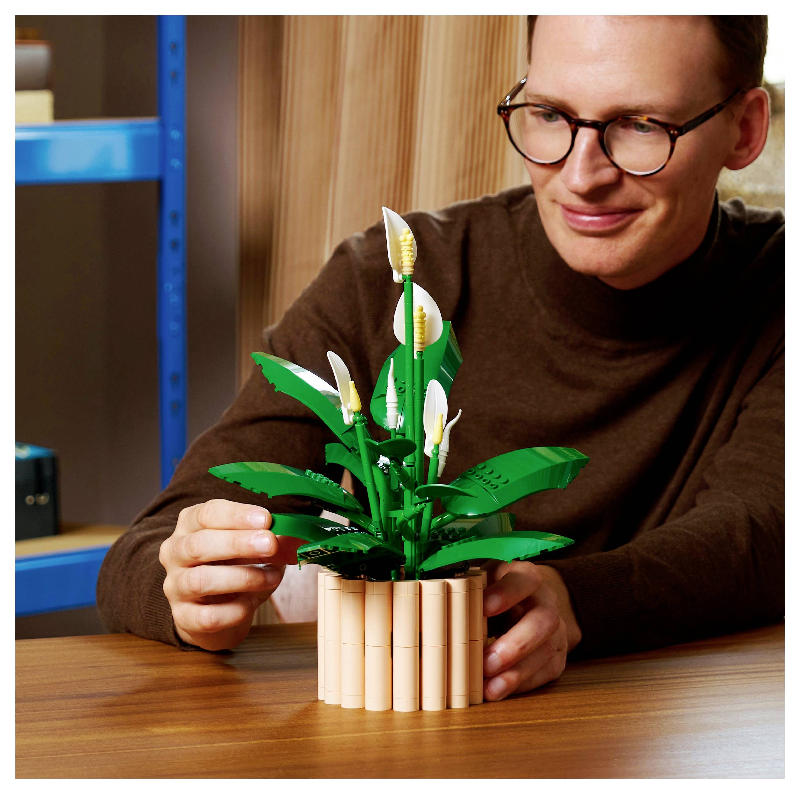 Eine Person baut ein LEGO-Blumenmodell auf einem Holztisch, umgeben von Regalen. Das Modell besteht aus grünen Blättern und weißen Blüten.