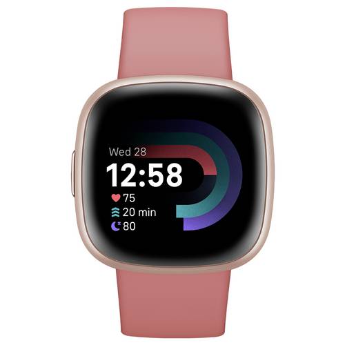 FitBit Versa 4 Smartwatch S/L Sandrosa