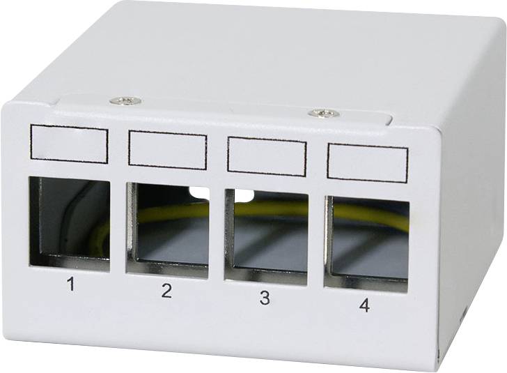 Eine weiße Netzwerk-Wanddose mit vier leeren rechteckigen Anschlüssen, von 1 bis 4 beschriftet, die zur Unterbringung und Organisation von Netzwerkkabeln dient.