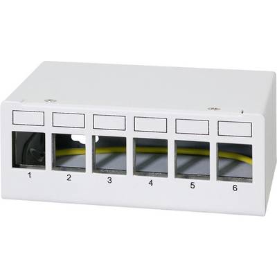 Eine weiße Netzwerk-Verteilerdose mit sechs Ethernet-Anschlüssen, die von 1 bis 6 nummeriert sind, mit einem gelben Kabel, das im Inneren angeschlossen ist.