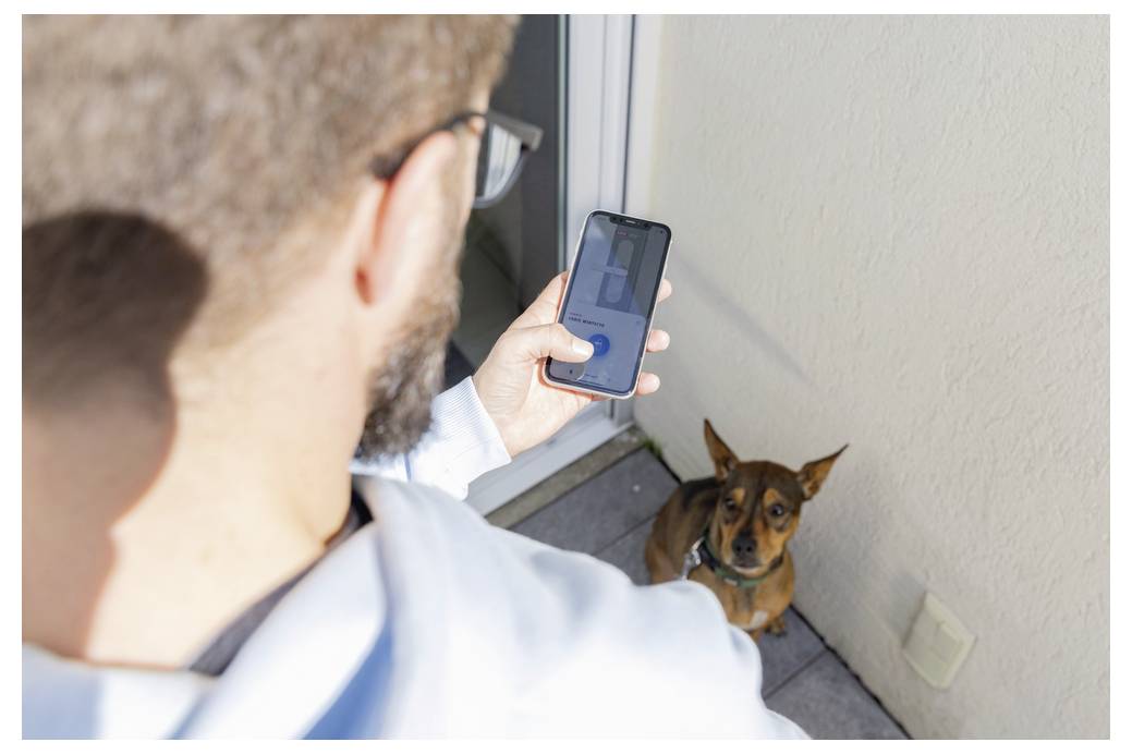 Eine Person von hinten betrachtet hält ein Smartphone und richtet es auf einen kleinen braunen Hund, der aufmerksam auf einer Terrasse sitzt.