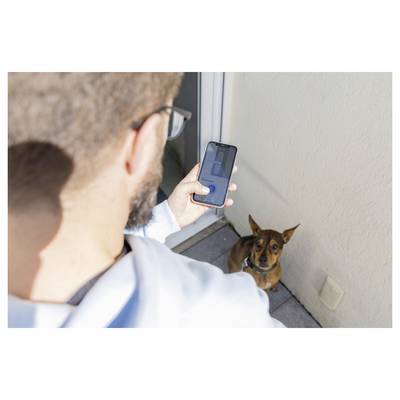 Eine Person, die ein Smartphone hält, fotografiert einen kleinen braunen Hund, der auf einer Terrasse sitzt.
