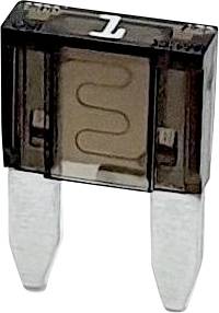 iMaXX miniOTO F7001 Kfz Mini Flachsicherung 2 A Schwarz 1 St.