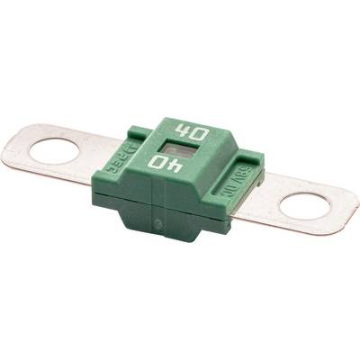 Eine grüne Autosicherung, gekennzeichnet mit '40 A', mit Metallkontakten an beiden Seiten für elektrische Anwendungen.