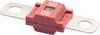 iMaXX midiOTO MDP050M6 Streifensicherung 50 A Rot 1 St.