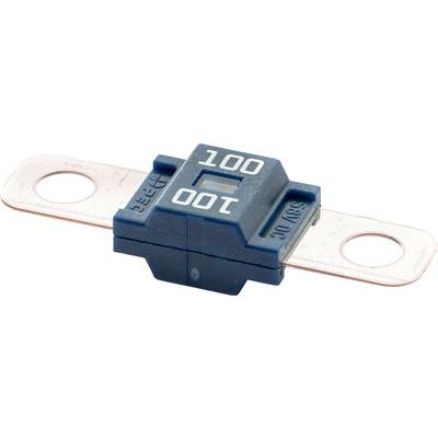 Blaue Autosicherung mit der Beschriftung „100", ausgestattet mit Metallkontakten an beiden Seiten.