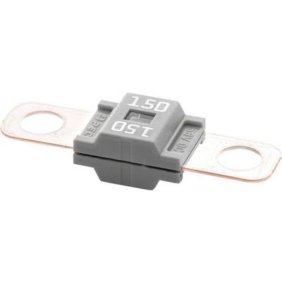 Eine graue Automotive-Sicherung mit einer 150-Ampere-Bewertung, die Kupferkontakte an beiden Seiten für die Integration in das elektrische System eines Fahrzeugs aufweist.