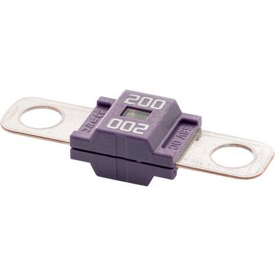 Violetter 200-Ampere-Autosicherung mit Metallklemmen an jeder Seite, verwendet für hochstrombeanspruchende Anwendungen in Fahrzeug-Elektriksystemen.