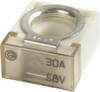 iMaXX cubeOTO CF030 Kfz Standard Flachsicherung 30 A Transparent 1 St.