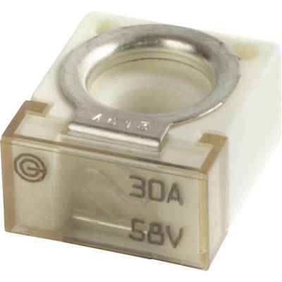 Eine weiße und beige 30-Ampere, 58-Volt-Sicherung mit einem kreisförmigen Metalltop und beschrifteten Markierungen.