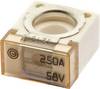 iMaXX cubeOTO CF250 Kfz Standard Flachsicherung 250 A Transparent 1 St.