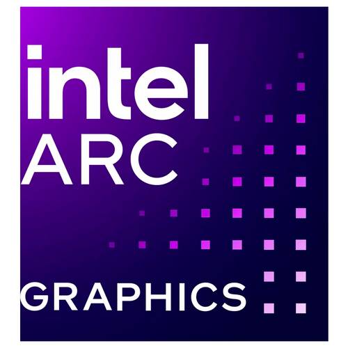 Intel Grafikkarte Intel Arc™ Pro B50 Intel® Arc™ Pro B50 Graphics 16 GB GDDR6-VRAM PCIe x8 DisplayPort Vulkan