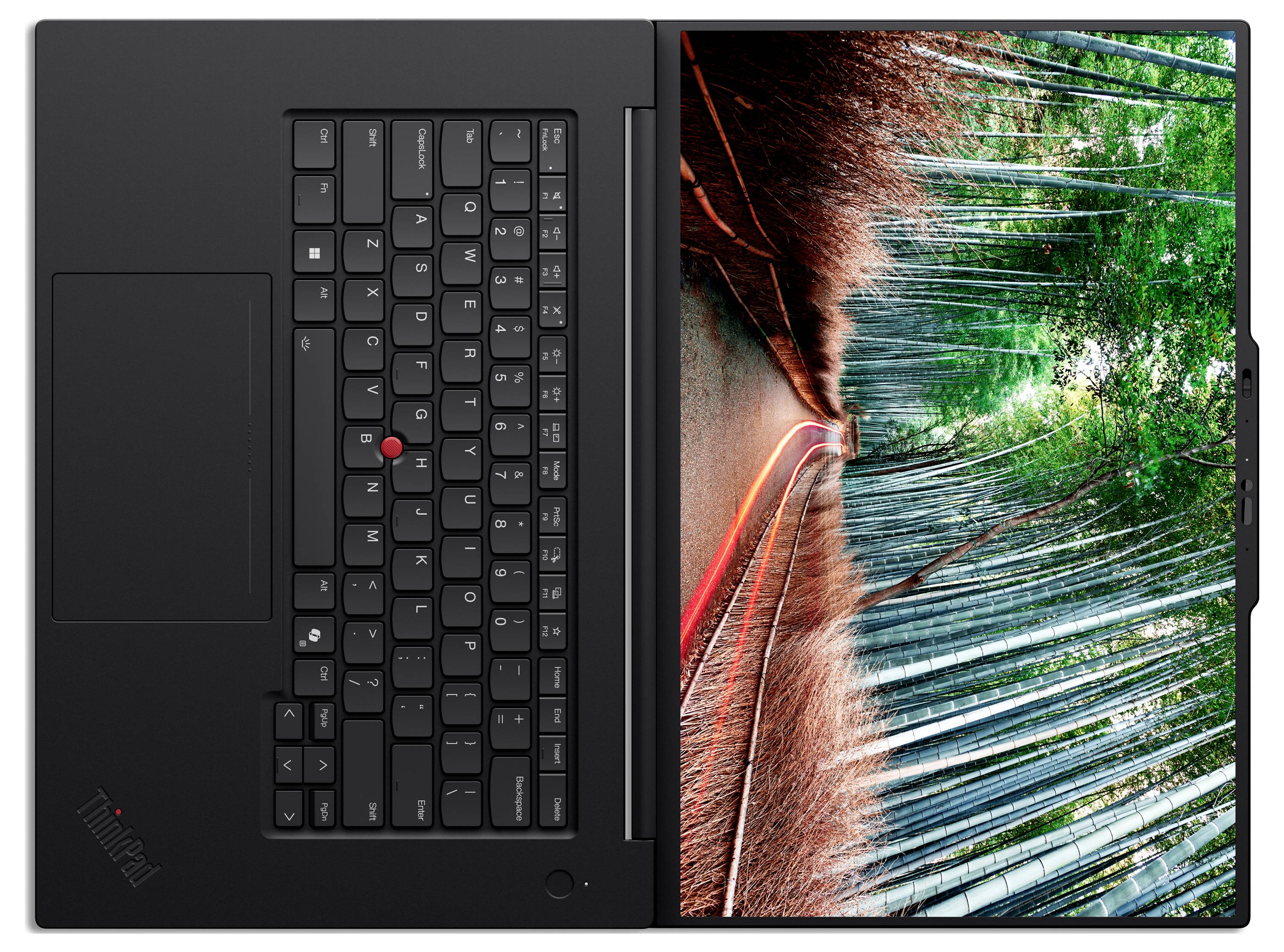 Ein schlanker schwarzer Laptop mit geöffnetem Bildschirm, der ein lebendiges Bild eines Bambuswaldes zeigt, mit einem von rötlichen Tönen beleuchteten Weg.