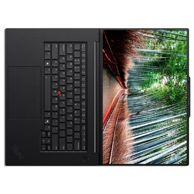 Eine Draufsicht eines schwarzen Laptops, der eine lebhafte Bambuswaldszene auf seinem Bildschirm zeigt, platziert auf einer flachen Oberfläche.
