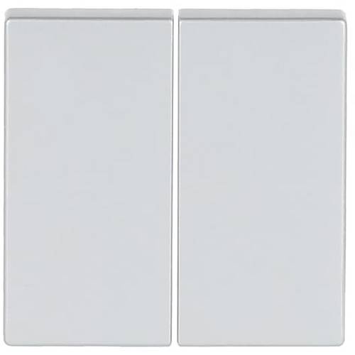 Busch-Jaeger 2CKA006730A0135 1 St.