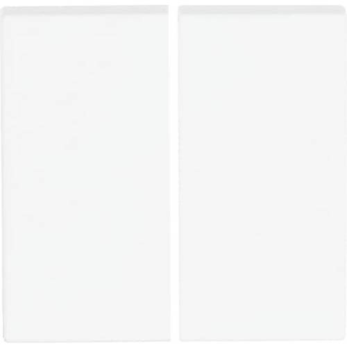 Busch-Jaeger 2CKA006730A0140 1 St.