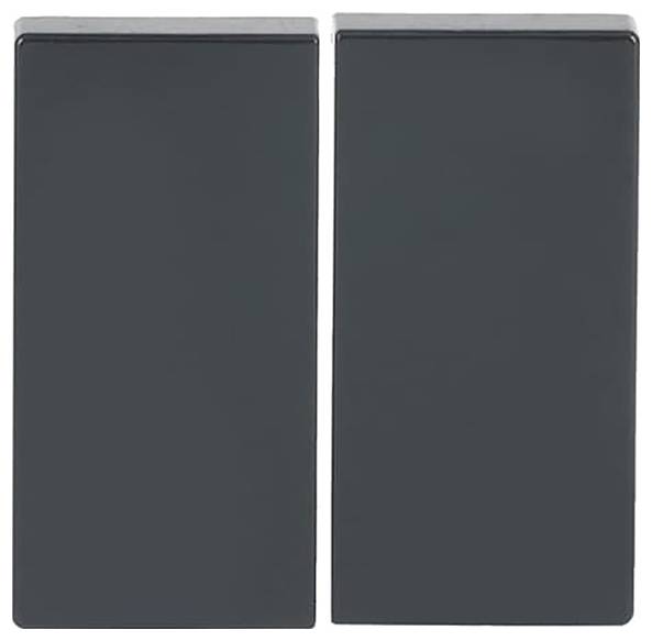 Busch-Jaeger 2CKA006730A0133 1 St.