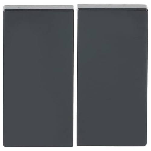 Busch-Jaeger 2CKA006730A0133 1 St.