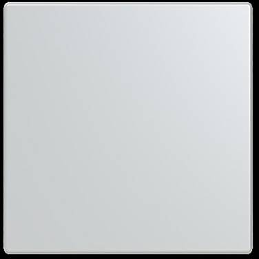 Busch-Jaeger  Abdeckung Abdeckung  Future Linear Aluminium 2CKA006199A0044  1 St.