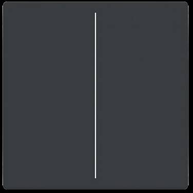 Busch-Jaeger  Abdeckung   Future Linear  2CKA006199A0050  1 St.