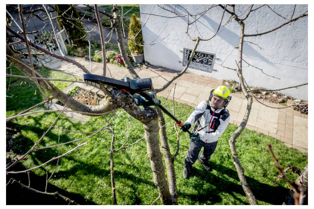 Eine Person in Sicherheitsausrüstung verwendet eine Teleskopsäge, um Baumäste in einem Wohngrundstück zu beschneiden, während sie auf Gras in der Nähe eines Gehsteigs und eines Gebäudes steht.