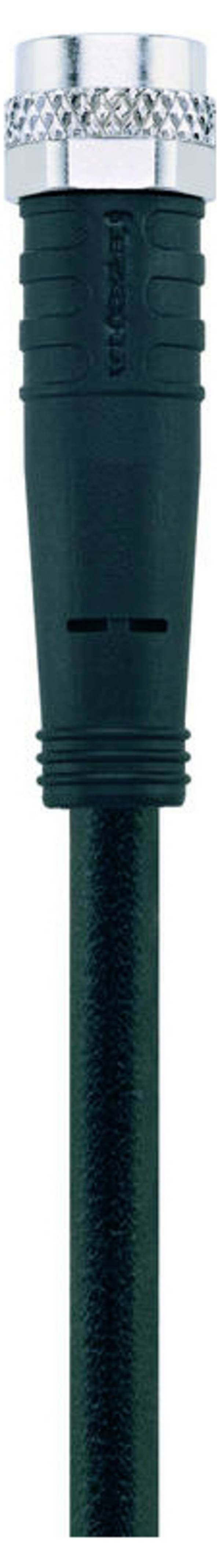 Escha 8043750 Sensor-/Aktor-Anschlussleitung M8  10.0 m Polzahl Sensoren: 3 1 St.