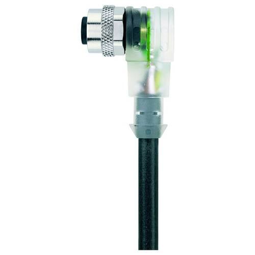 Escha 8045238 Sensor-/Aktor-Anschlussleitung 5.0 m Polzahl Sensoren: 4 1 St.