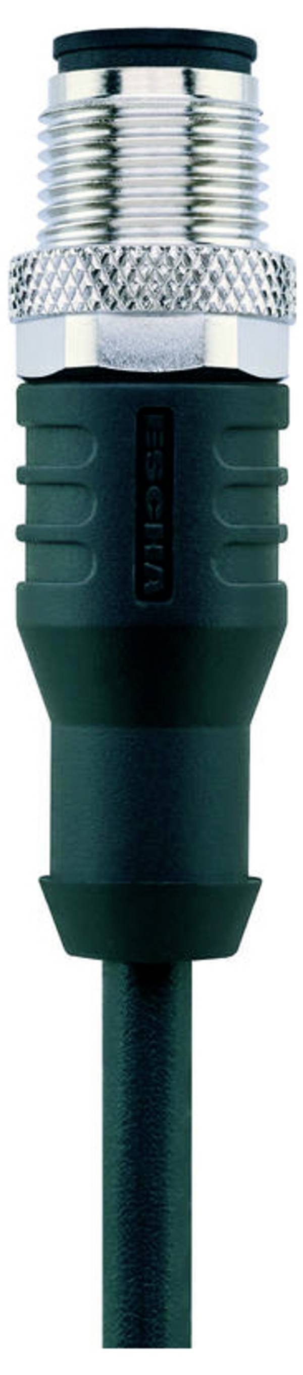 Escha 8046909 Sensor-/Aktor-Anschlussleitung   2.0 m Polzahl Sensoren: 8 1 St.