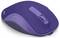 Eine lila kabellose Computermaus mit Scrollrad und ergonomischem Design, von oben betrachtet.