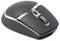 Eine elegante schwarze und silberne Computermaus mit Scrollrad und Tasten, entwickelt für ergonomische Nutzung und drahtlose Konnektivität.