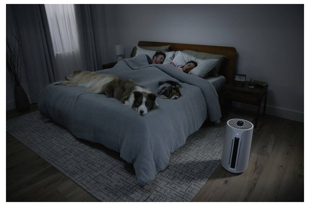 Zwei Personen schlafen im Bett unter einer grauen Decke, begleitet von drei Hunden. Ein weißer Luftreiniger steht neben dem Bett in einem dämmrig beleuchteten Raum.